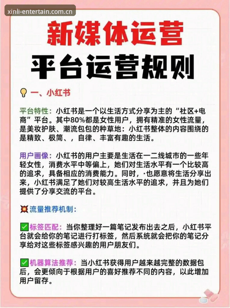 新利娱乐平台完整使用指南：从注册到进阶玩法